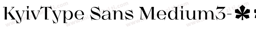 KyivType Sans Medium3字体转换